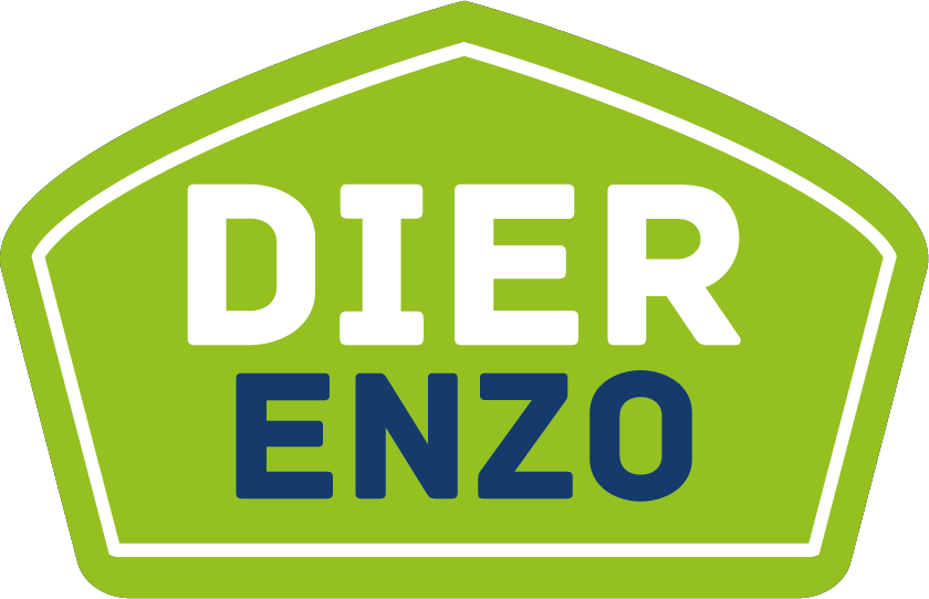 Dier Enzo