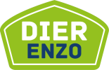 Dier Enzo