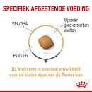 Royal Canin hondenvoer Pomeranian Adult 3 kg