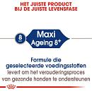 Royal Canin hondenvoer Maxi Ageing 8+ 3 kg