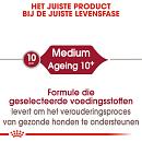 Royal Canin hondenvoer Medium Ageing 10+ 3 kg
