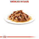 Royal Canin Hondenvoer Maxi Puppy 10 x 140 gr