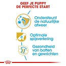 Royal Canin Hondenvoer German Shepherd Puppy 3 kg