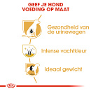 Royal Canin Hondenvoer Mini Schnauzer Adult 3 kg
