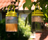 Knock Off FlyNip Vliegenval