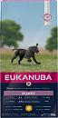 Eukanuba Hondenvoer Puppy L/XL Chicken<br> 12 kg