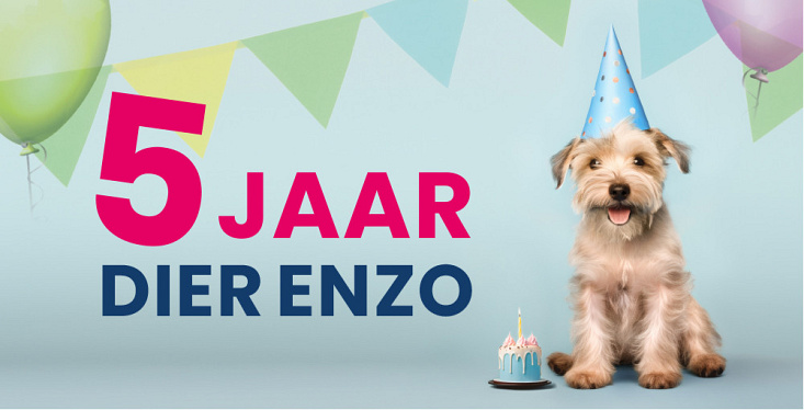 Het is feest