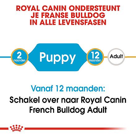 Royal Canin hondenvoer French Bulldog Puppy 3 kg