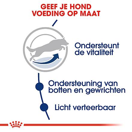 Royal Canin hondenvoer Maxi Adult 5+ 4 kg