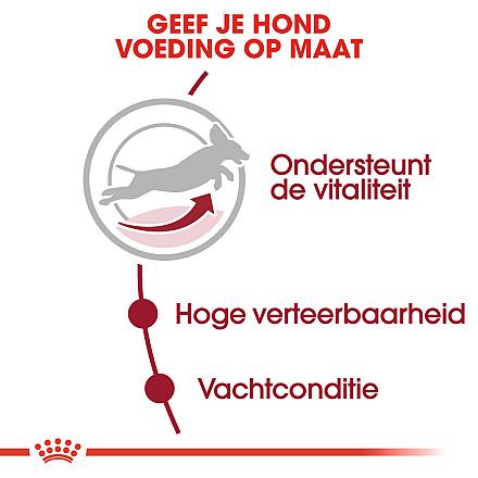 Royal Canin hondenvoer Medium Adult 7+ 4 kg