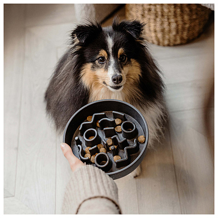 District 70 Slow Feeder Dark Grey