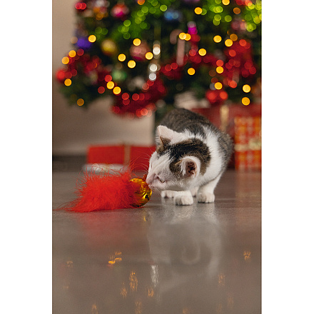 Beeztees Kattenspeelgoed Kerstbel met Veer Rood