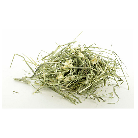 ESVE Timothy Herbal Hay Appel & Peterselie 600 gr