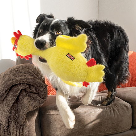 Kong Scruffs Chicken M/L