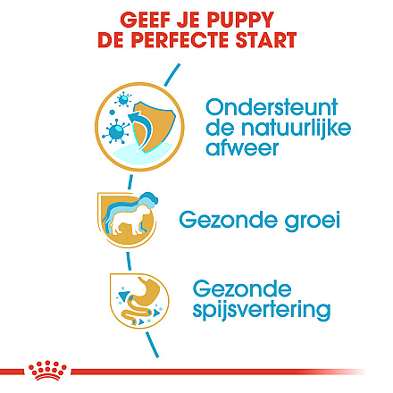 Royal Canin hondenvoer Jack Russell Puppy 1,5 kg