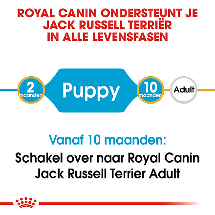 Royal Canin hondenvoer Jack Russell Puppy 1,5 kg