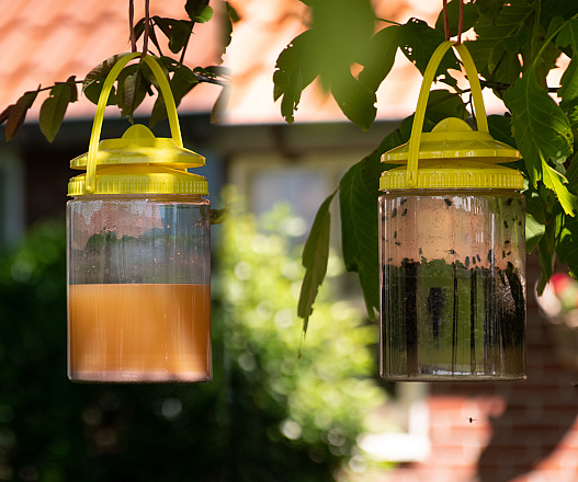 Knock Off FlyNip Vliegenval